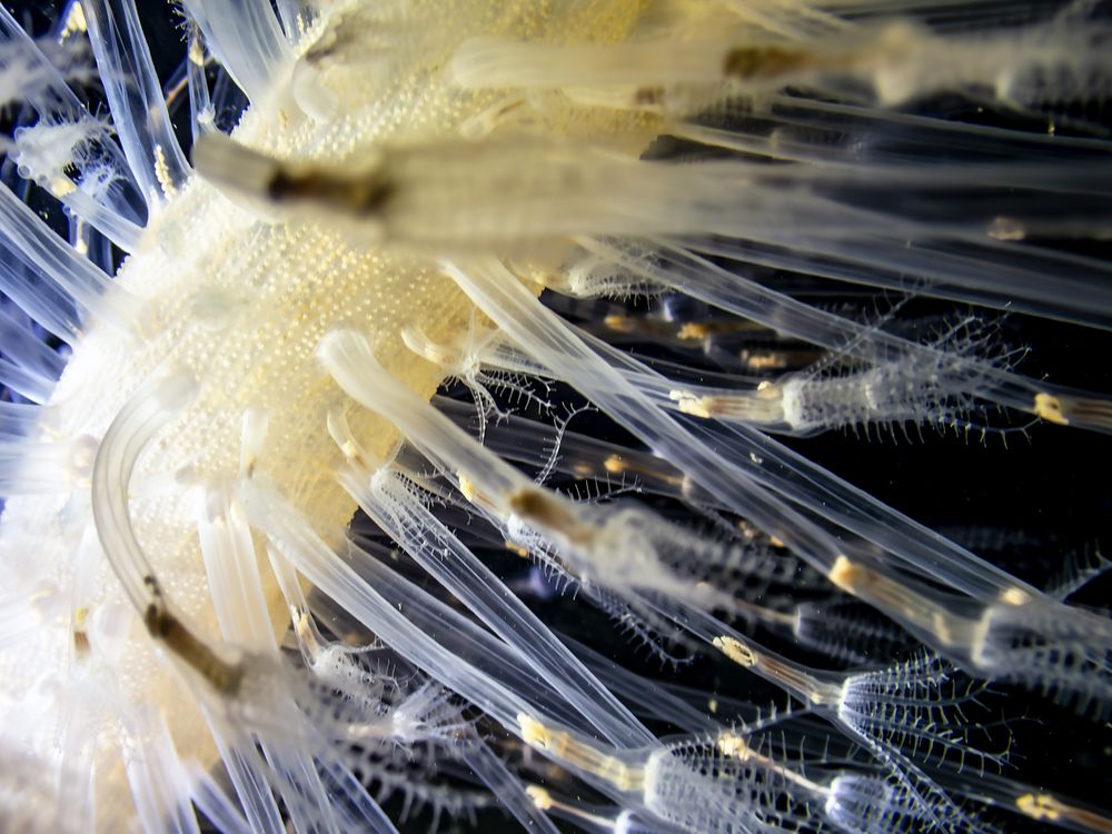 Photograph by Gozde Karayel