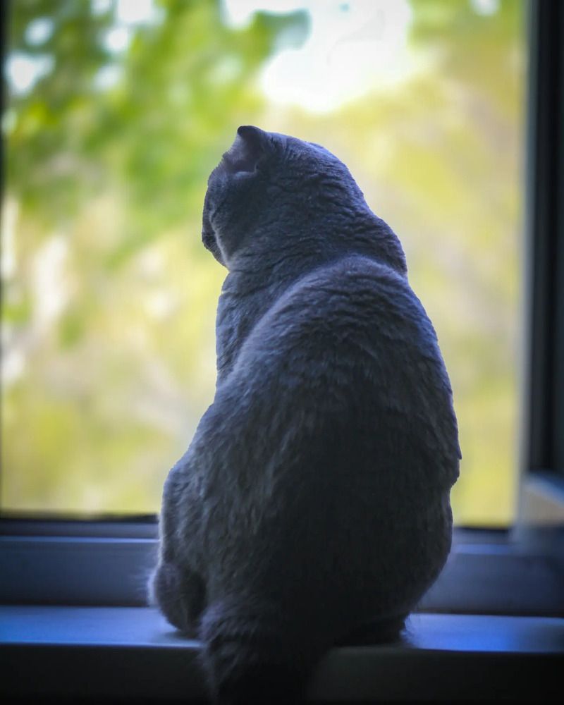 Photograph by Татьяна Радченко