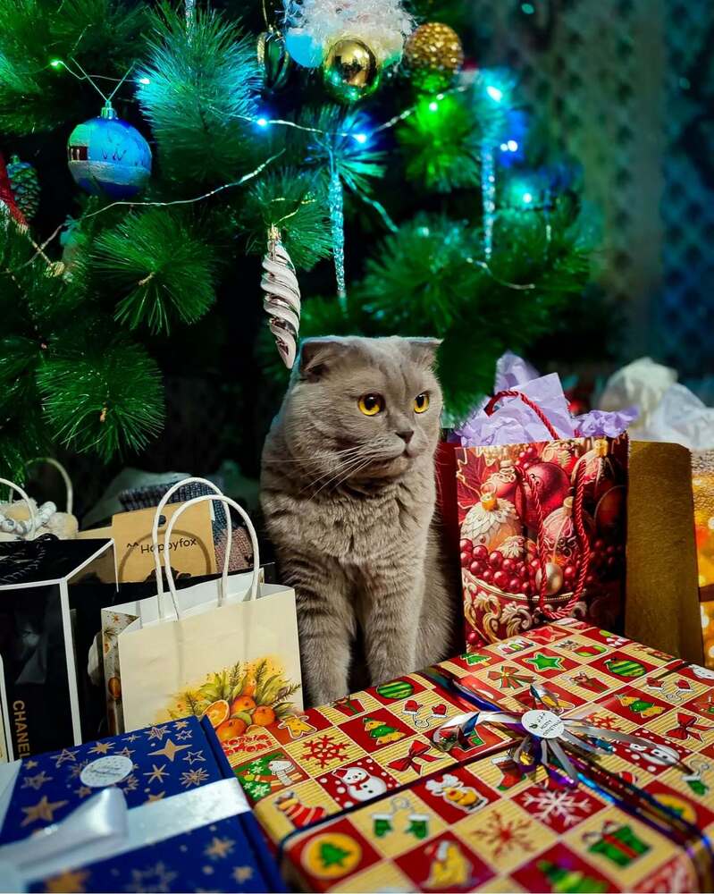 Photograph by Татьяна Радченко