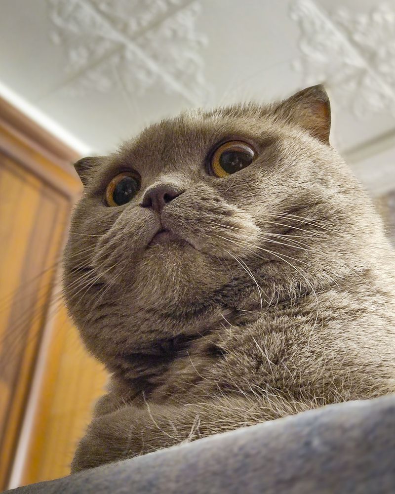 Photograph by Татьяна Радченко