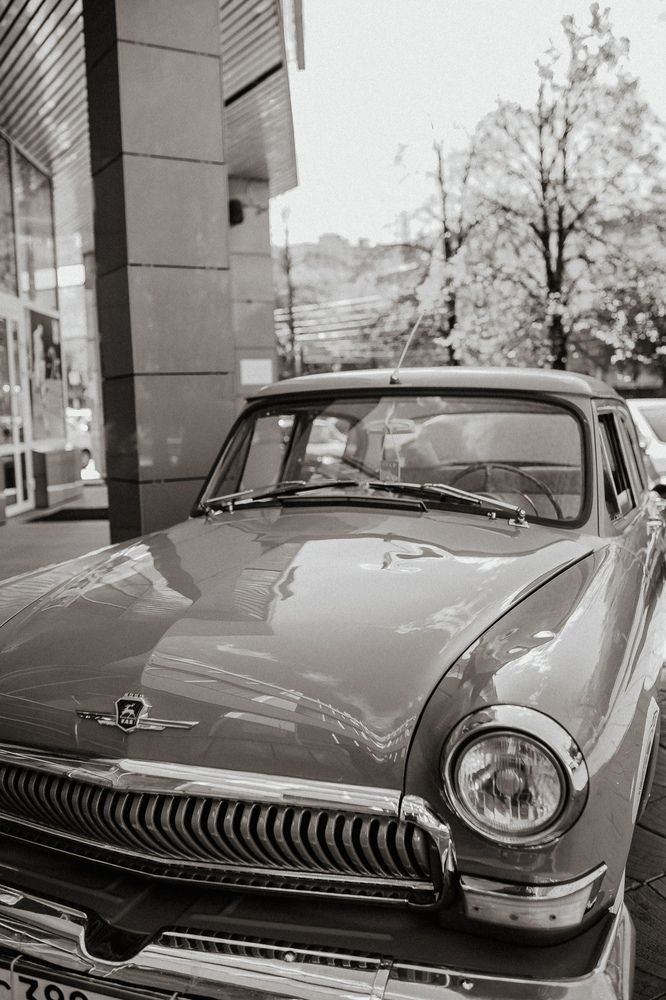 Photograph by дамир чекалин