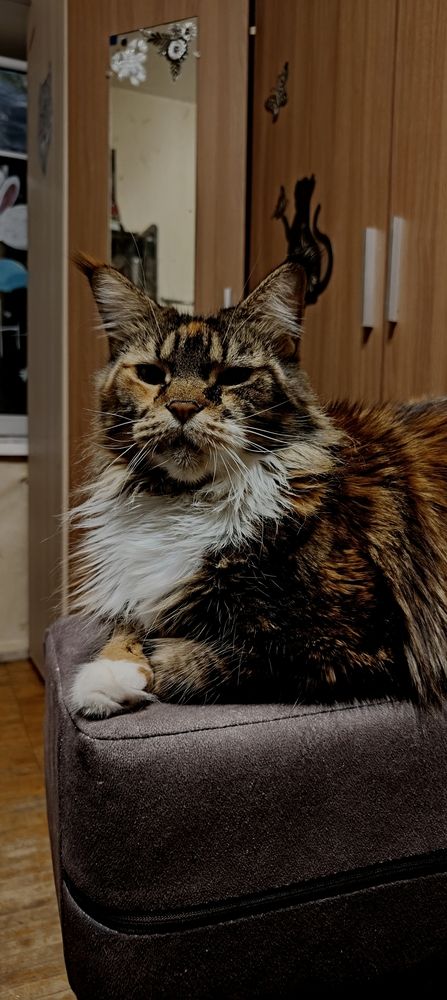 Photograph by Дарина Ворошилова