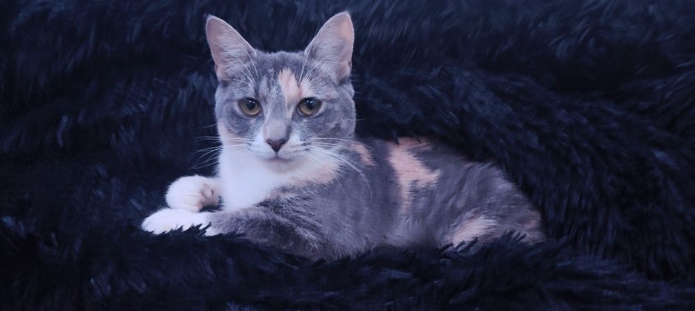 Photograph by Дарина Ворошилова