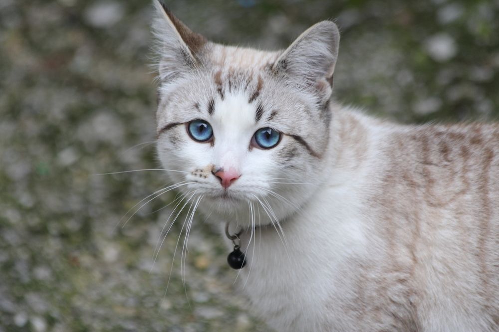 Photograph by Nadzeya