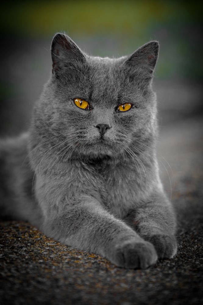 Photograph by Дмитрий Казачек