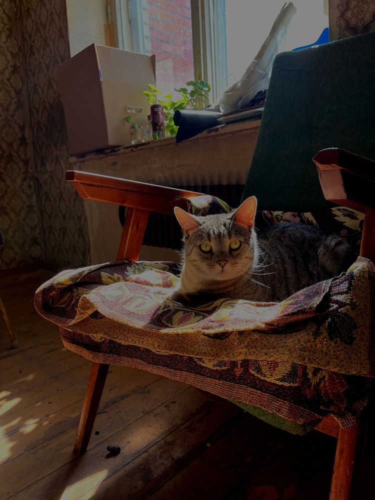 Photograph by Дарина Ворошилова