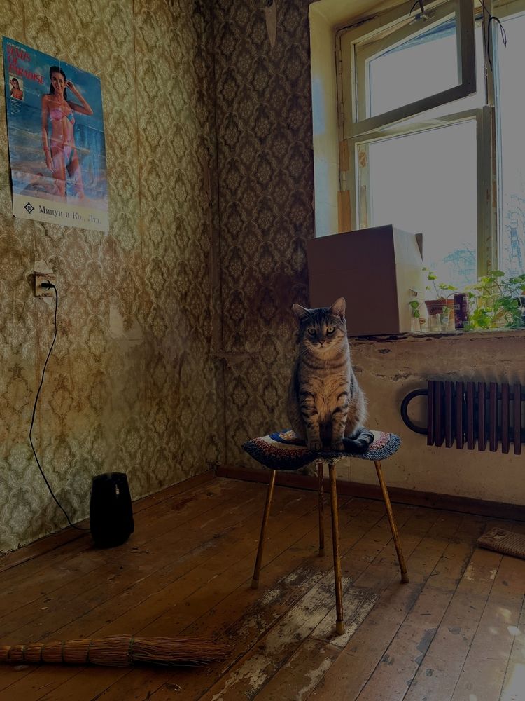 Photograph by Дарина Ворошилова