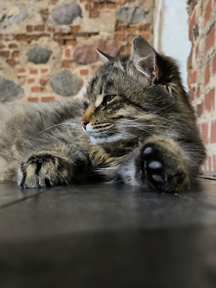 Photograph by Татьяна Яцкевич