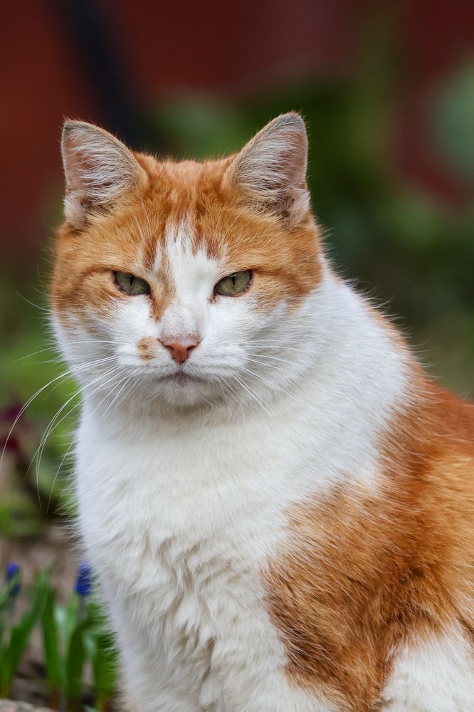 Photograph by Марина