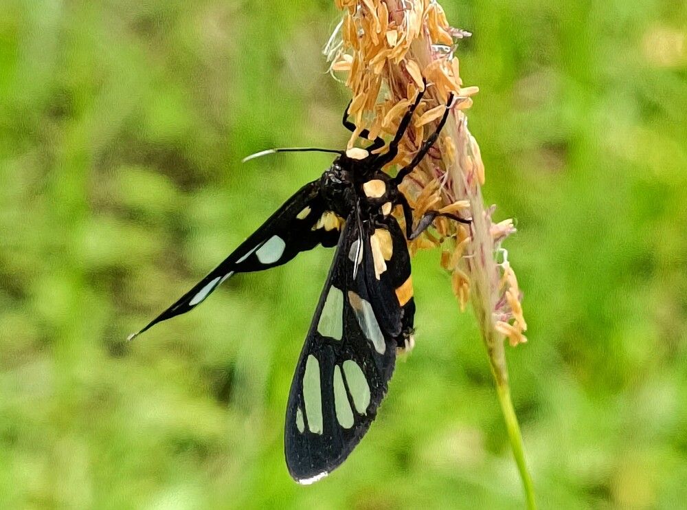 Photograph by Tina Gogoi