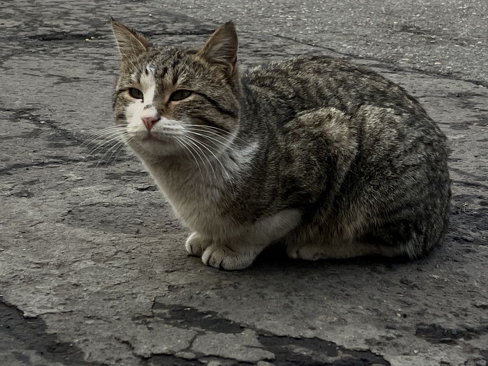 Photograph by Ruzanna Chalyan