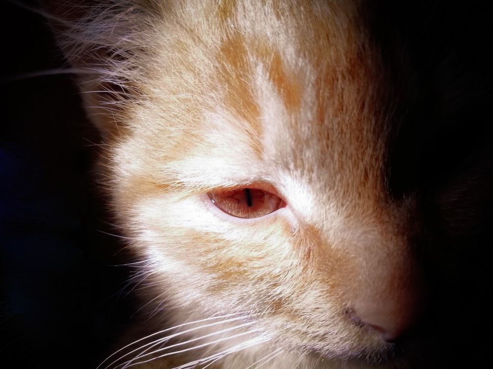 Photograph by Ruzanna Chalyan