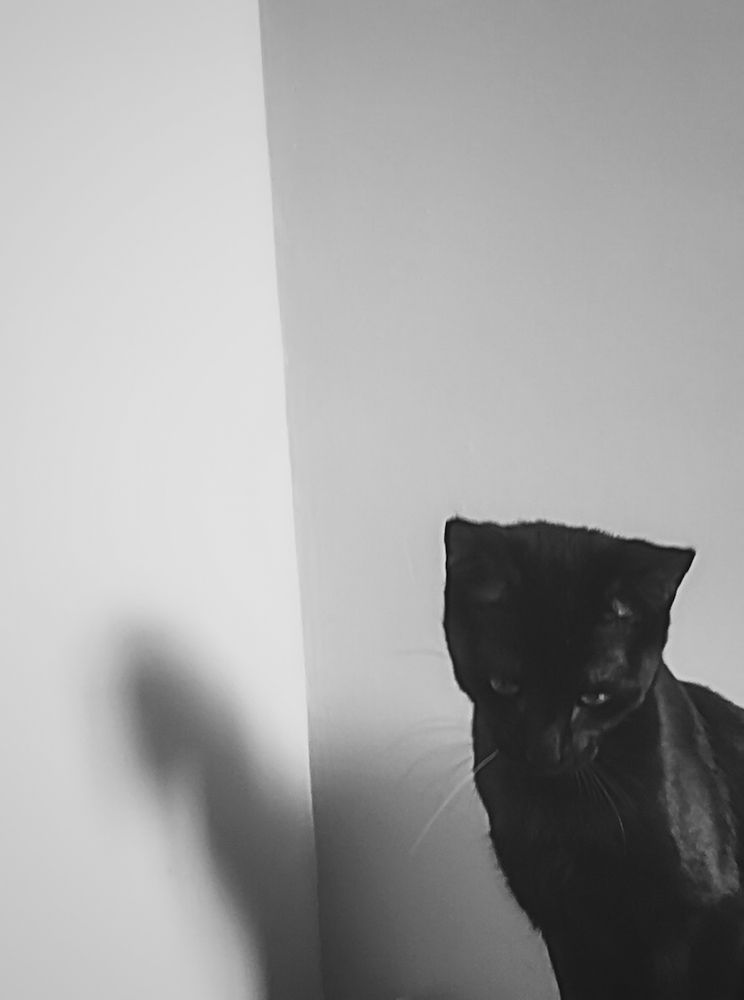 Photograph by Ruzanna Chalyan