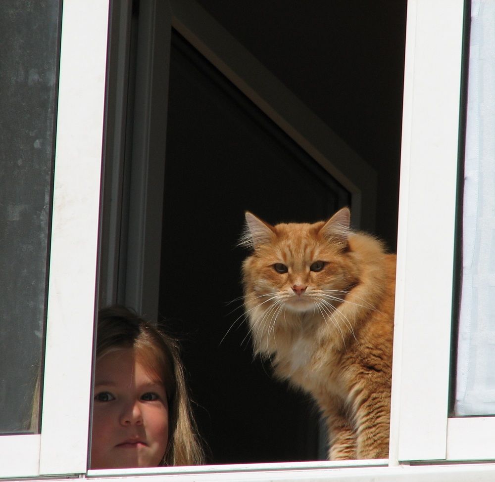 Photo #12223223