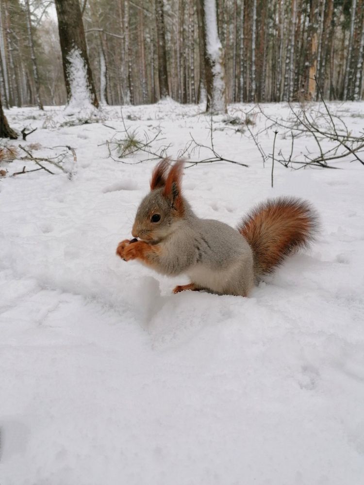Photograph by Tatyana