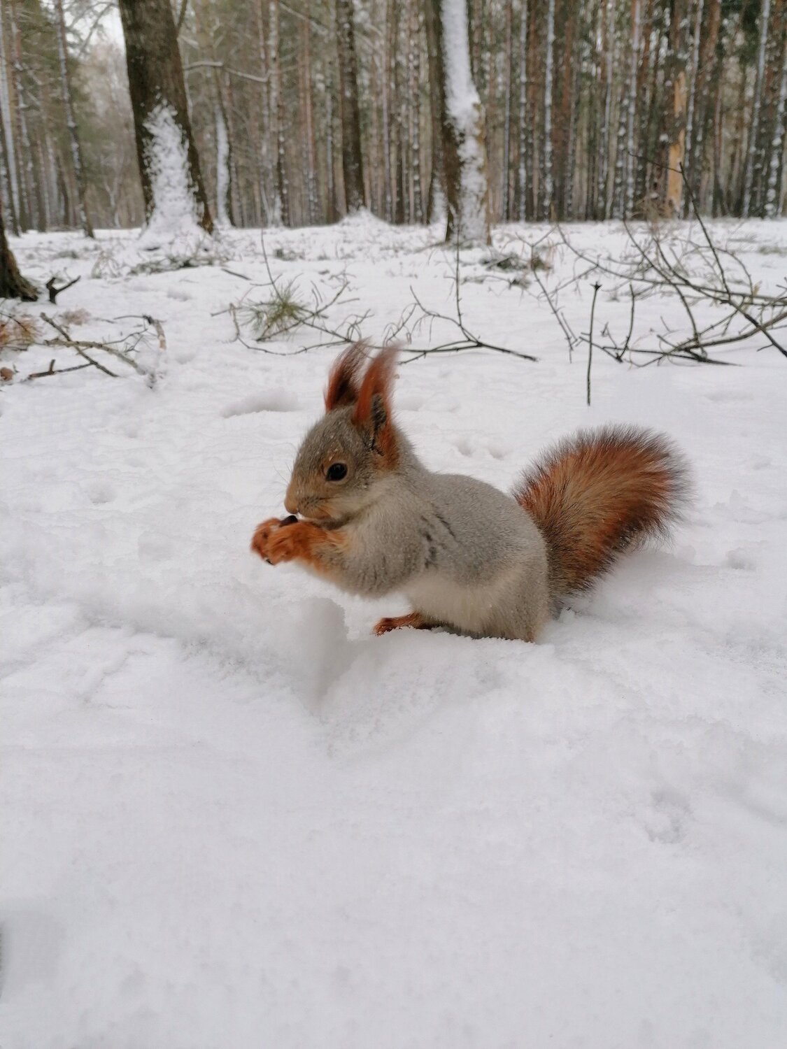 Photo #12223249