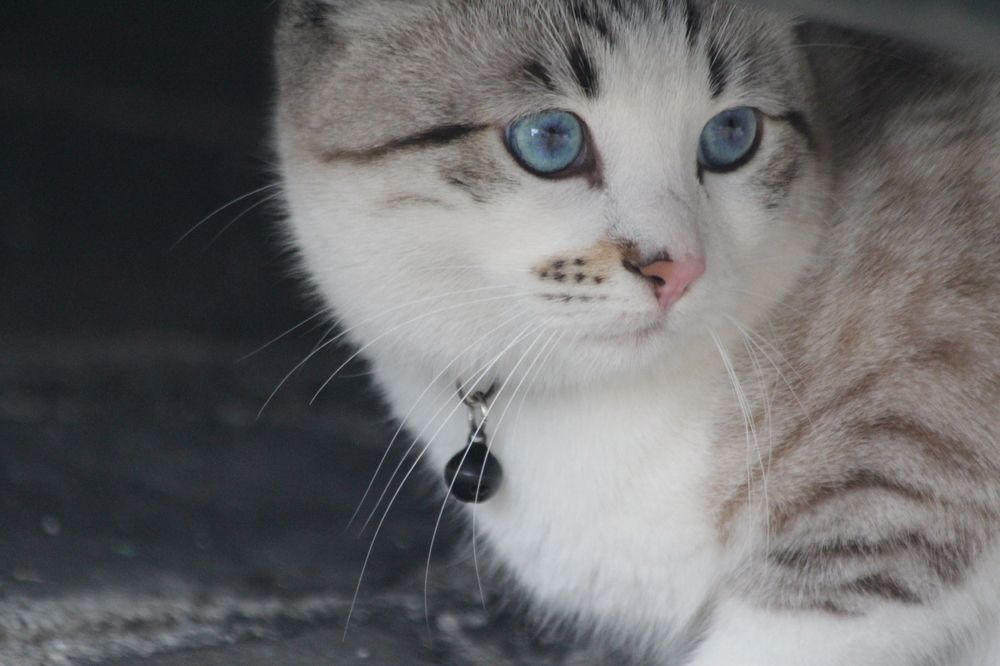 Photograph by Nadzeya