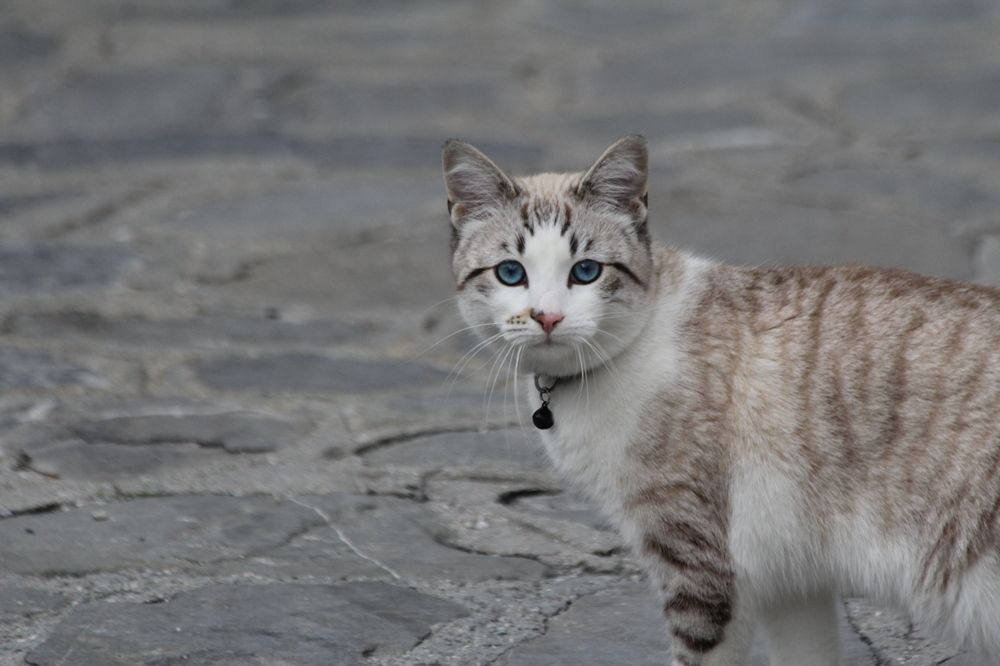 Photograph by Nadzeya