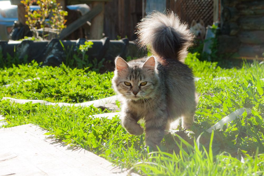 Фотография автора Анастасия Логинова