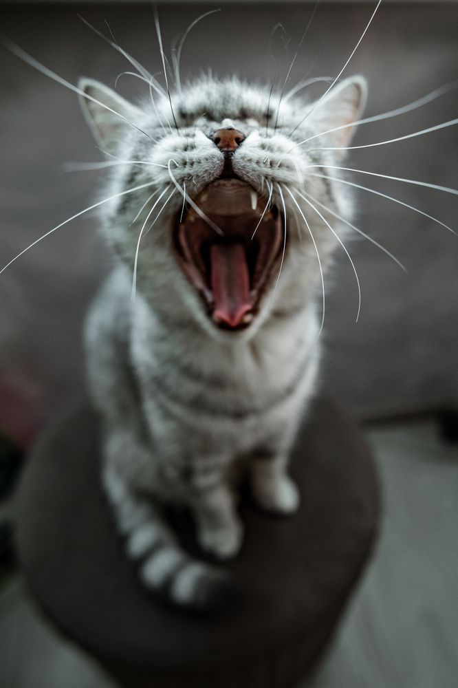 Photograph by Наталья Золотарева