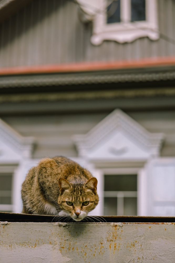 Photograph by Чернышова Наталья