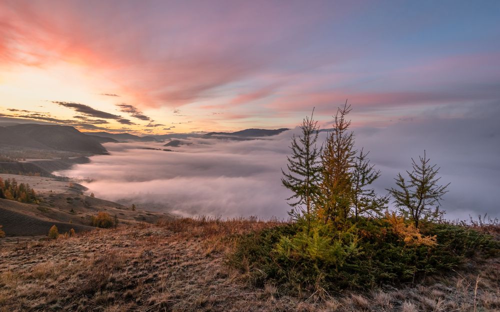 Photograph by Devender Mark