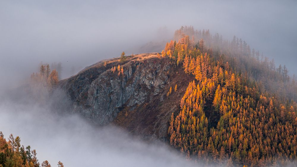 Фотография автора Devender Mark