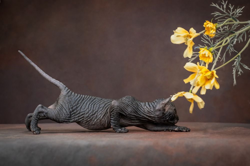 Photograph by Dina Damotseva