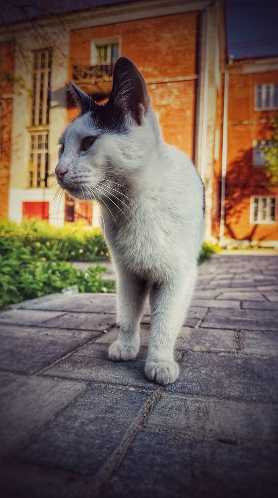 Photograph by мария Жигалова