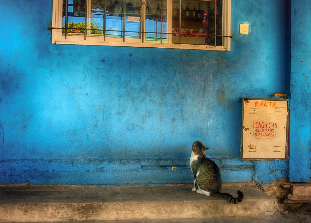 Photograph by Viviana García