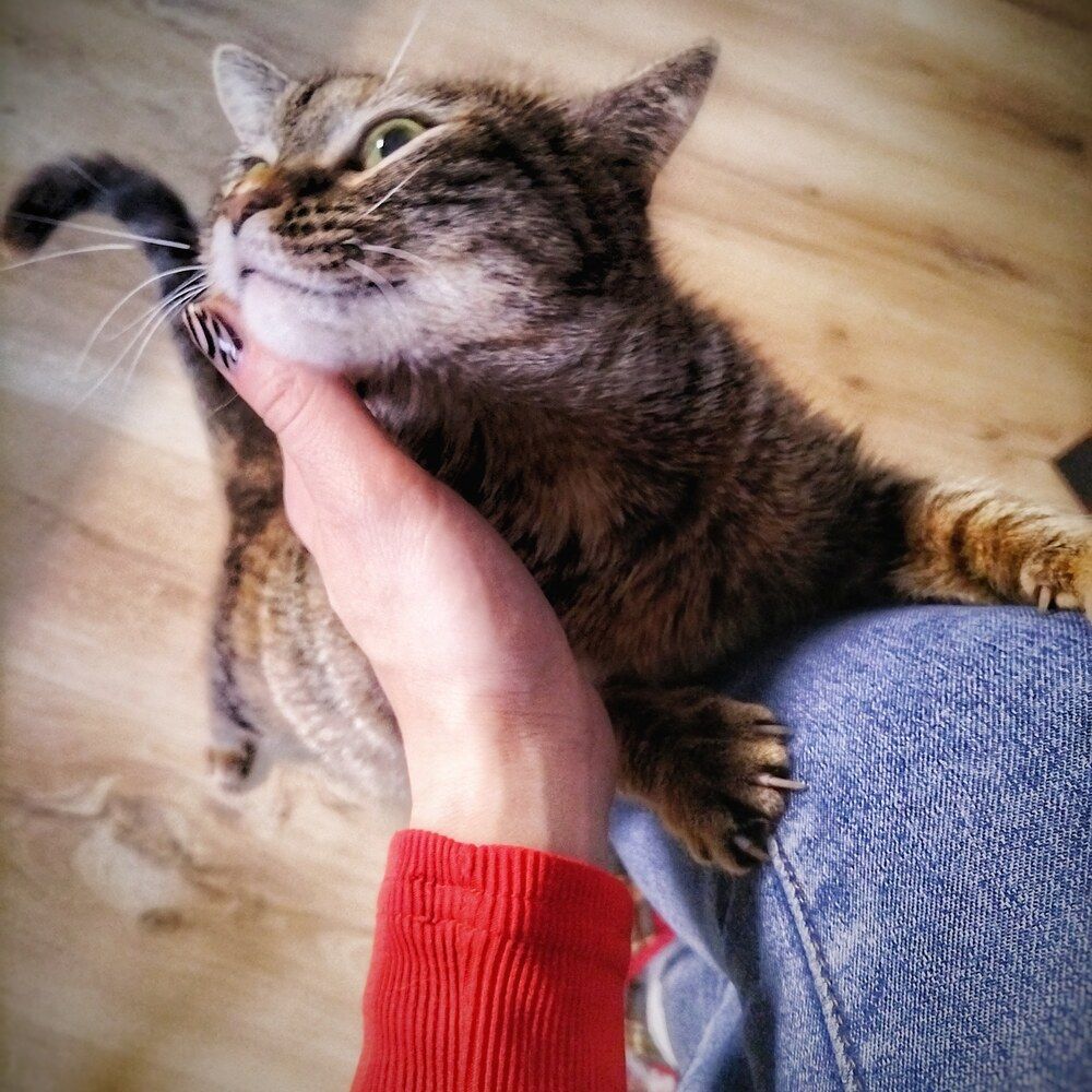 Photograph by мария Жигалова