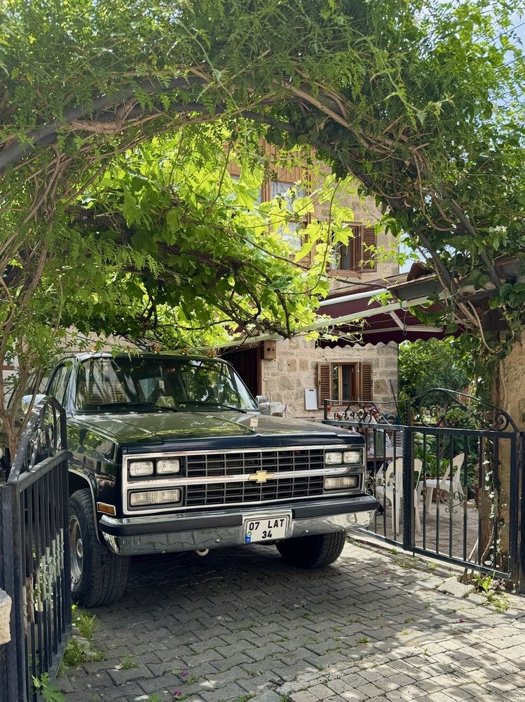 Photograph by Виктория Баева