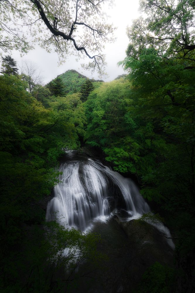 Фотография автора i_ ha__to