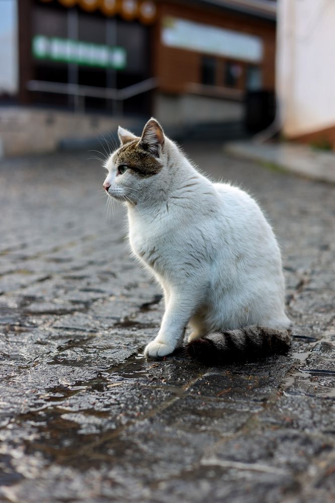 Photograph by Павел Дженбаз