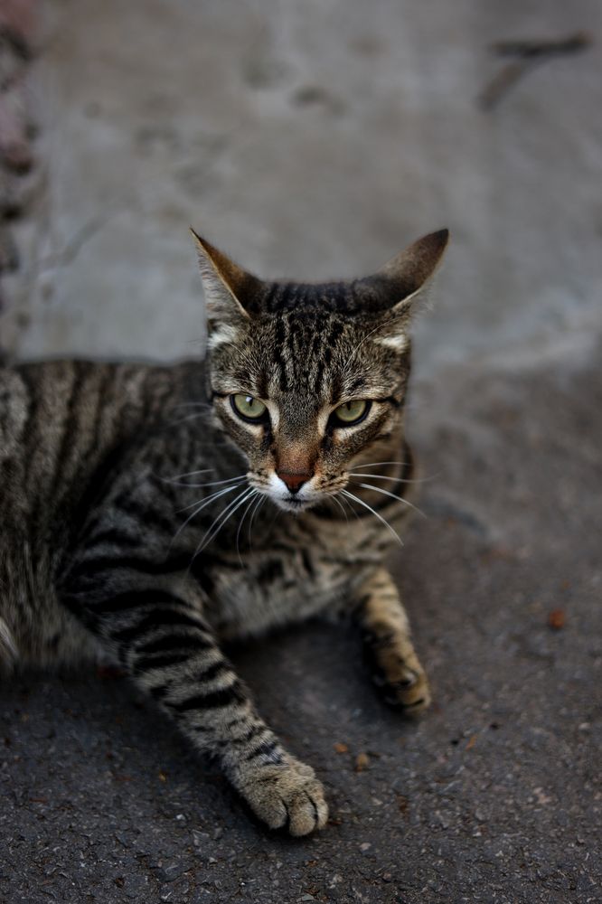 Photograph by Павел Дженбаз