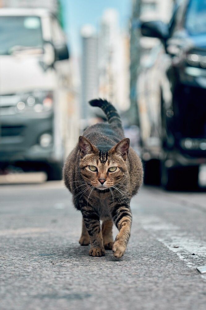 Photograph by Jeffrey Yan