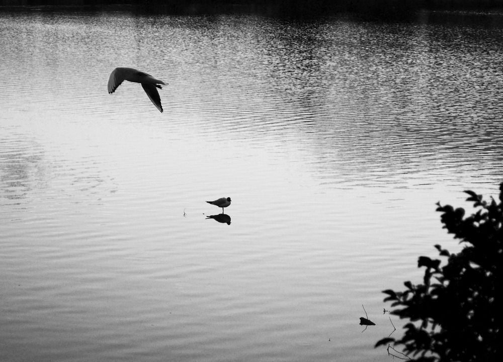 Photograph by Юлия Ромашина