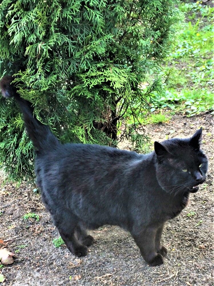 Photograph by Галина