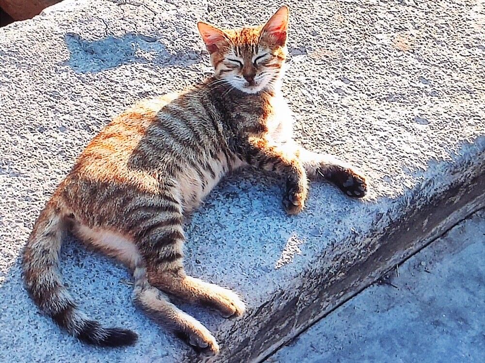 Photograph by Галина