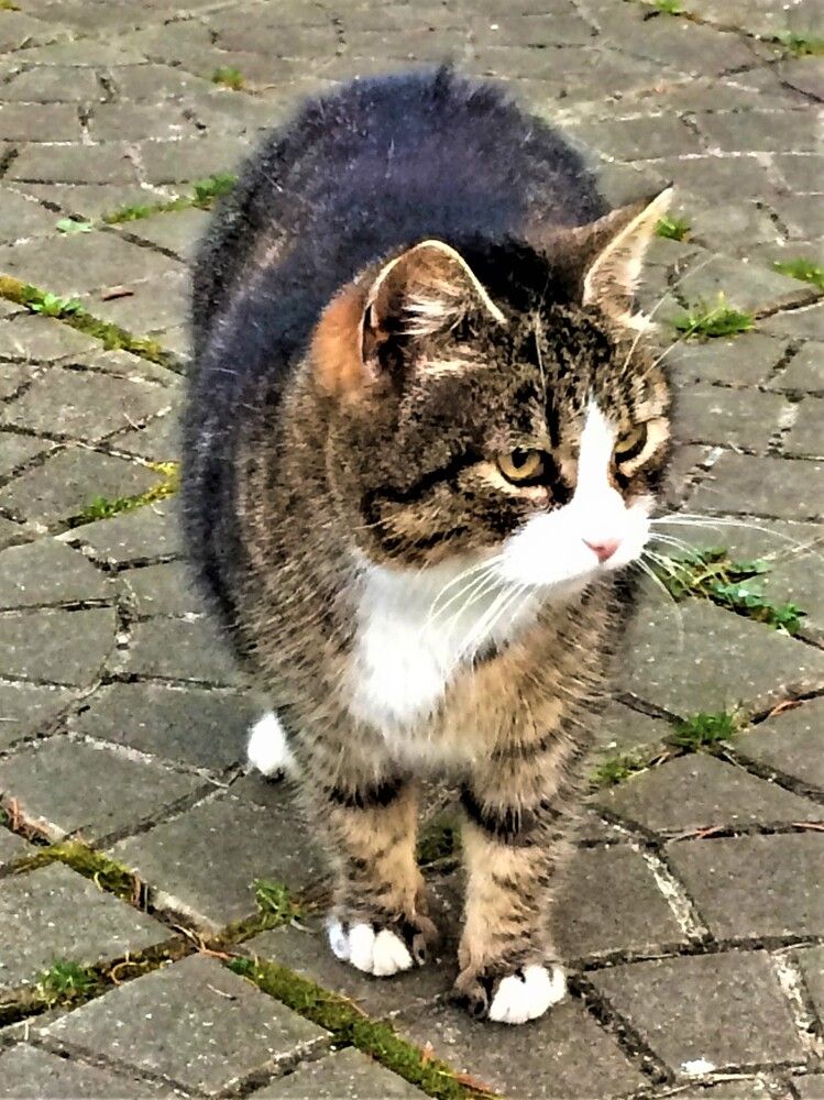 Photograph by Галина