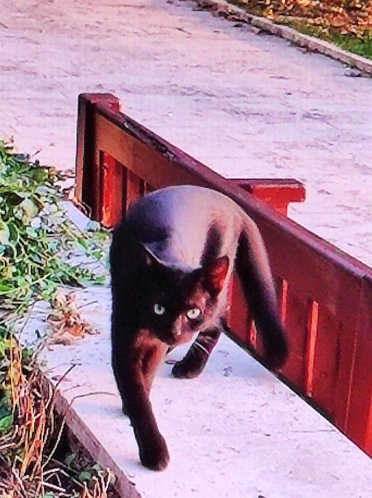 Photograph by Галина