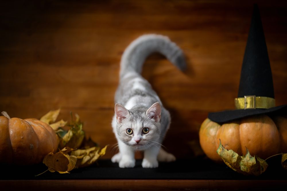 Photograph by Валентина Найдюк