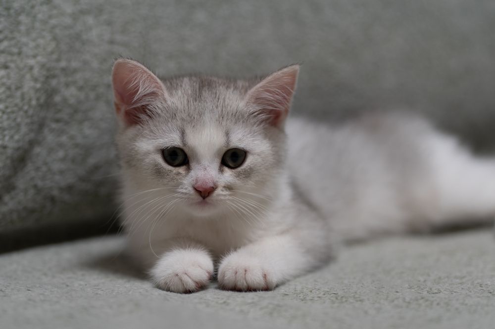 Photograph by Валентина Найдюк