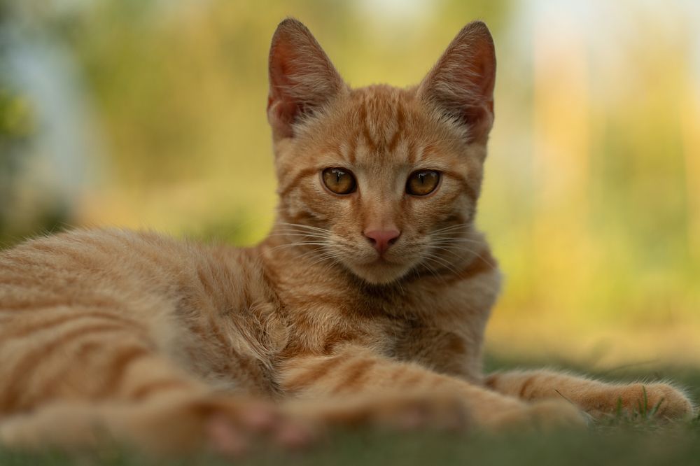 Photograph by Валентина Найдюк