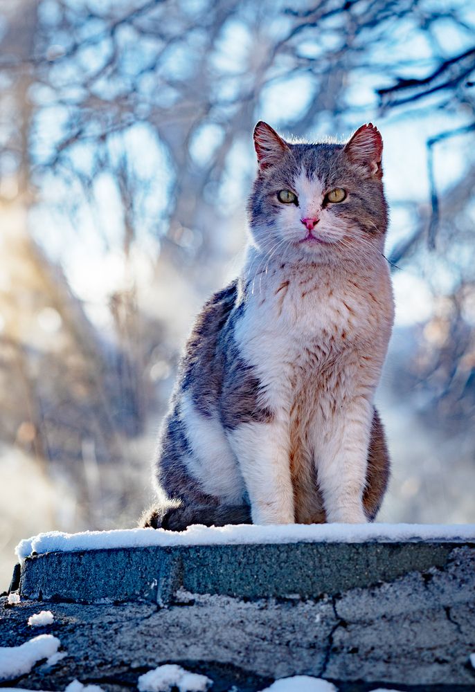 Photograph by Виктор Садырин