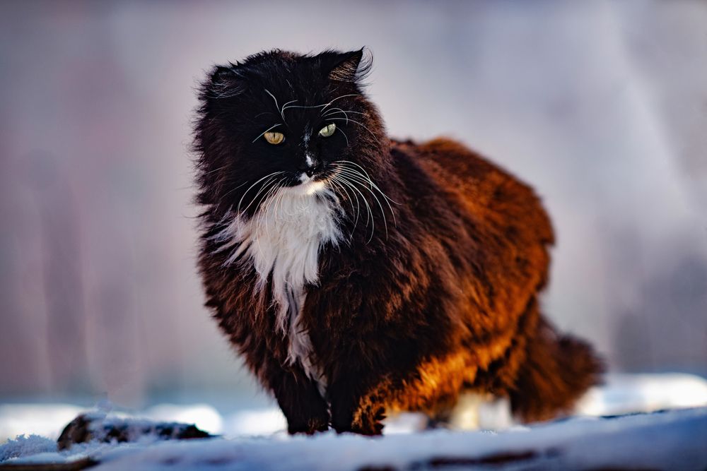 Photograph by Виктор Садырин