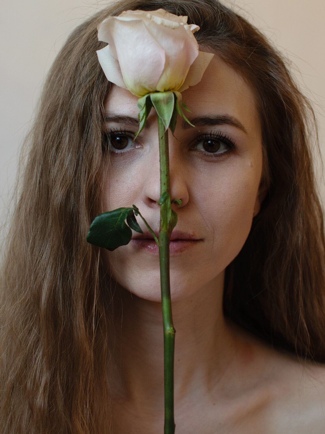 Photo #12223571