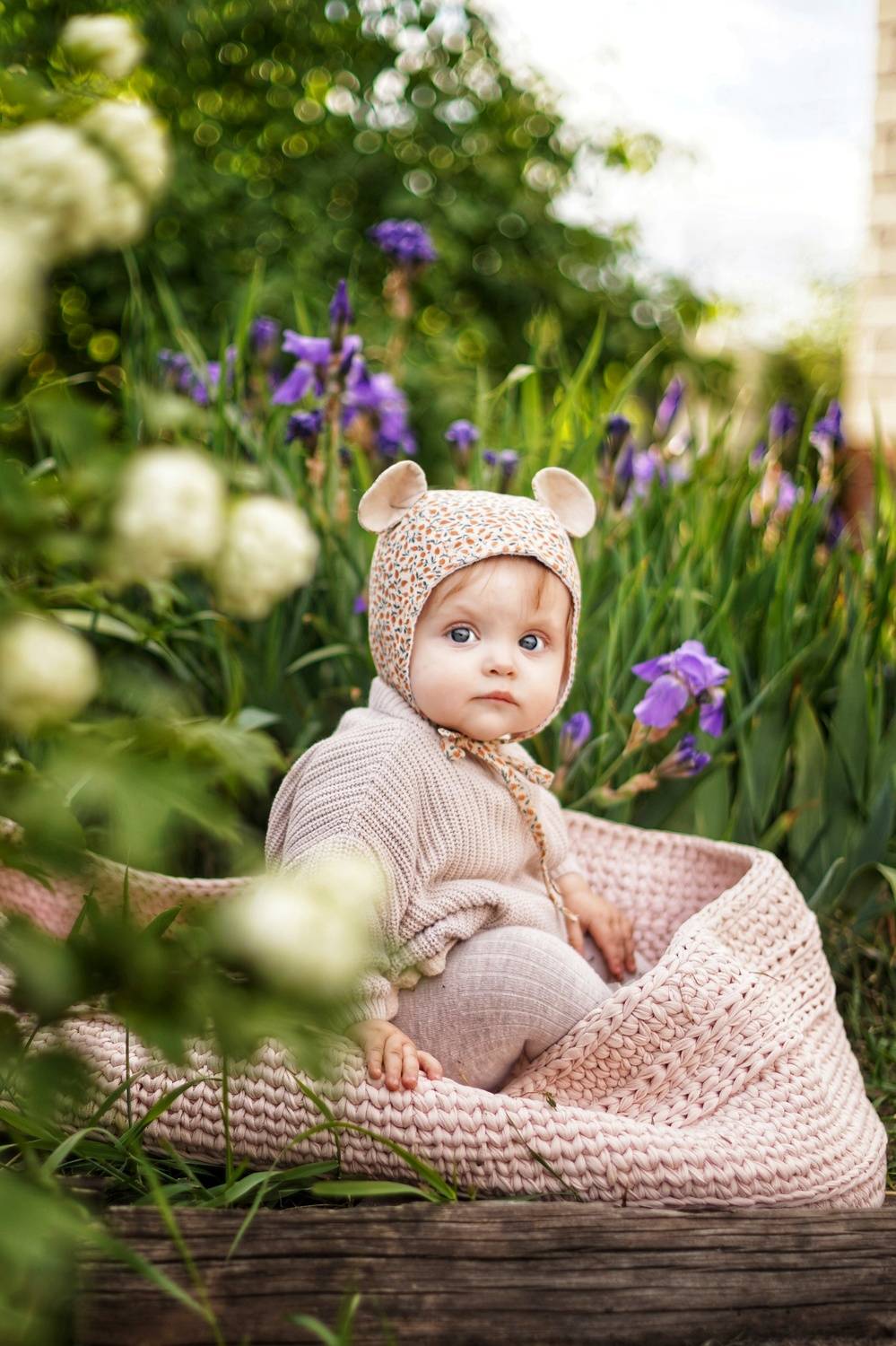 Photo #12223573