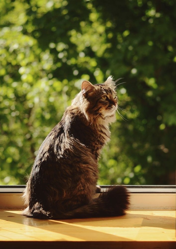 Photograph by Екатерина Шлехт