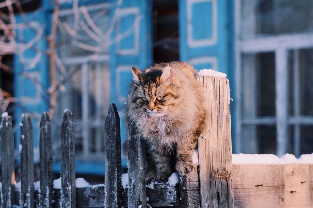 Photograph by Екатерина Шлехт